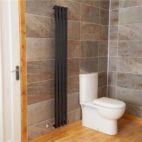 Nevada Beta Heat 1600 x 240mm Single Oval Panel Black Vertical Radiator
