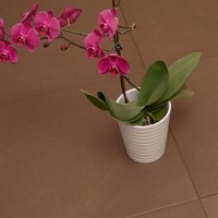 Urban Castanho Glazed Porcelain Wall/Floor Tile