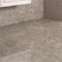 Lizard Grey Wall/Floor Tile