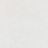 Foster White Glazed Porcelain Wall/Floor Tile
