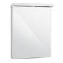 Windsor 550 Mirrored Cabinet with 1 Light 760(H) 540(W) 220(D)