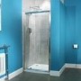 Aquafloe Premium 6mm 900 Pivot Shower Door