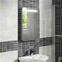 Rhea Illuminated Mirror 700(H) 500(W)