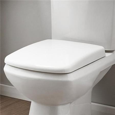 Revive Toilet Seat