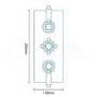 Traditional Concealed Triple Control Shower Valve