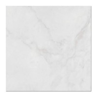 Carrara Brillo Wall/Floor Tile