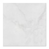 Carrara Brillo Wall/Floor Tile