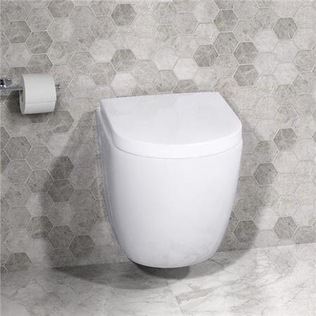 Venus Wall Hung Toilet