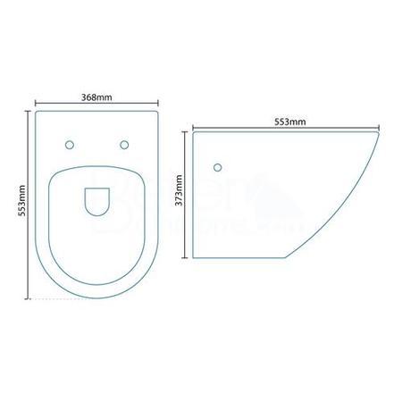 Venus Wall Hung Toilet