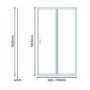 Aquafloe Premium 6mm 700 Pivot Shower Door