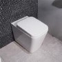Bali Back to Wall Toilet