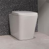 Bali Back to Wall Toilet