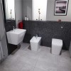 Bali Back to Wall Toilet