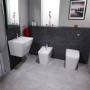 Bali Back to Wall Toilet