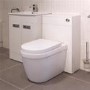 Aurora Back To Wall Toilet 