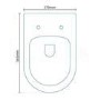 Venus Back To Wall Toilet 