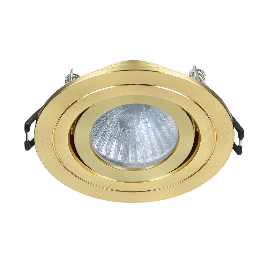 IP65 Gold Down Light