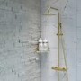 Brass Corner Shower Caddy- Arissa