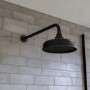 BlackTraditional Shower Head & Wall Arm - Cambridge