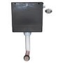 Back to Wall Toilet with Dual Flush Concealed Cistern - Tampa Range