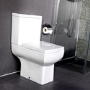 Delta Close Coupled Toilet with Soft Close Seat