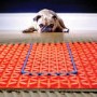 DCM Pro Underfloor Heating  Mat 1sqm - Warmup