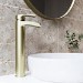 Brushed Brass Tall Mono Basin Mixer - Elina
