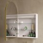 Single Door Brass Bathroom Mirror Cabinet with Lights, Demister & Shaver Socket 500 x 800mm - Empire
