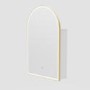 Single Door Brass Bathroom Mirror Cabinet with Lights, Demister & Shaver Socket 500 x 800mm - Empire