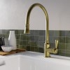 Traditional Single Lever Pull Out Brass Kitchen Mixer Tap - Evelyn