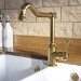 Brushed Brass Single Lever French Traditional Monobloc Kitchen Mixer Tap - Enza Evelyn