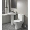 Lavender Back to Wall Toilet with Slimline Soft Close Seat