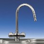Franke Silk Steel Twin Lever Bi-Flow Kitchen Tap - Moselle