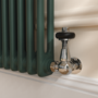 Reggio Evergreen Horizontal Double Column Traditional Radiator 600x830mm 2832 BTU - Cast Iron Style