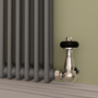 Reggio Anthracite Horizontal Double Column Traditional Radiator 800x830mm 2832 BTU - Cast Iron Style