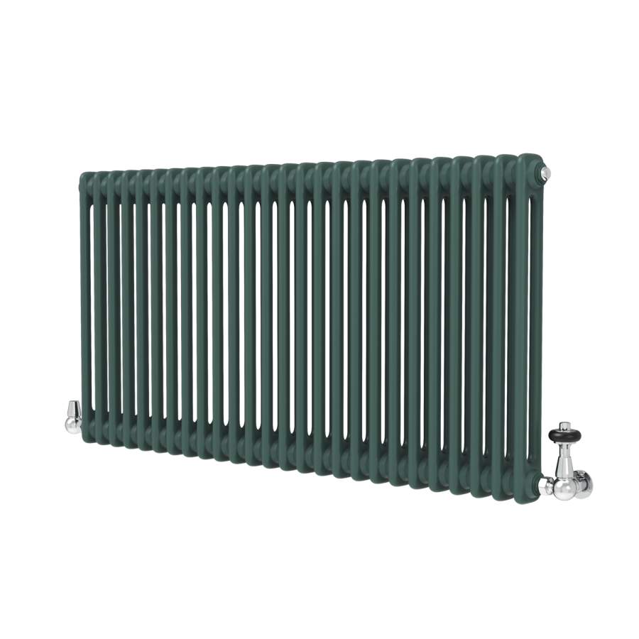 Reggio Evergreen Horizontal Double Column Traditional Radiator 600x1190mm 4091 BTU - Cast Iron Style