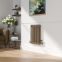 Reggio Beige grey Horizontal Double Column Traditional Radiator 600x425mm 1416 BTU - Cast Iron Style