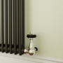 Reggio Midnight Black Horizontal Double Column Traditional Radiator 800x425mm 1416 BTU - Cast Iron Style