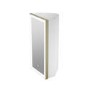 Single Door Corner Brass Mirrored Bathroom Cabinets with Lights 300 x 600mm - Lykos