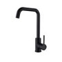 Reginox Black Single Lever Mono Kitchen Mixer Tap - Obion B