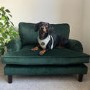 ONLY OPENED - Dog Sofa Bed in Green Velvet - Payton