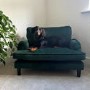 ONLY OPENED - Dog Sofa Bed in Green Velvet - Payton
