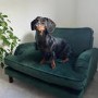 ONLY OPENED - Dog Sofa Bed in Green Velvet - Payton