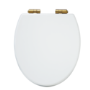Park Royal Wooden Seat & Cover With Brushed Brass Hinge Covers