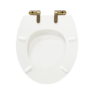 Park Royal Wooden Seat & Cover With Brushed Brass Hinge Covers