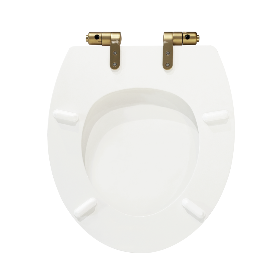 Park Royal Wooden Seat & Cover With Brushed Brass Hinge Covers