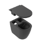 Matt Black Replacement Seat and Remote Control for Japanese Toilet PURMBWH and PURMBBTW - Purificare