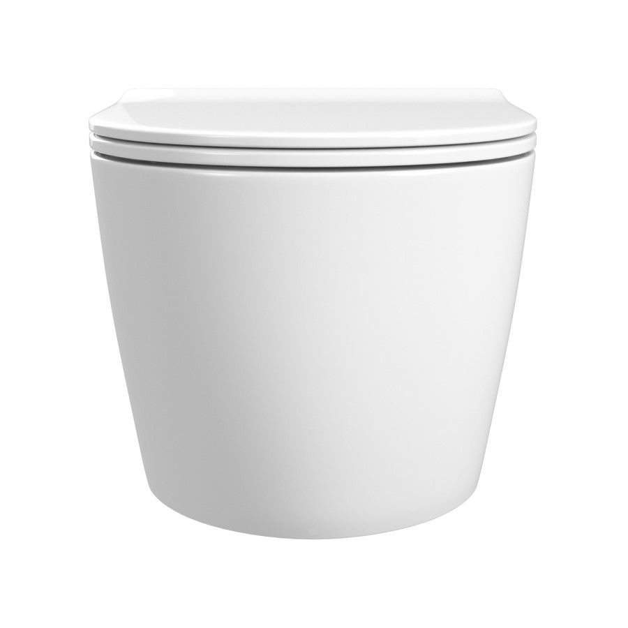 Grade A1 - Back to Wall Rimless Toilet and Soft Close Seat - Roma