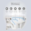 Wall Hung Rimless Toilet with Soft Close Seat - RAK Resort