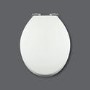 Soft Close Toilet Seat in White with Chrome Hinges